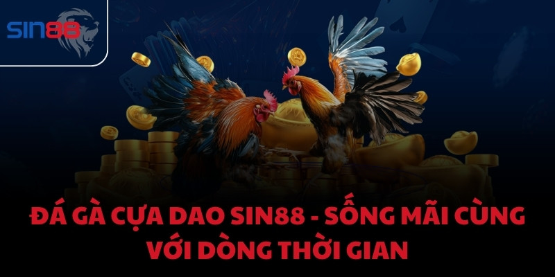 Đá gà cựa dao Sin88 - Sống mãi cùng với dòng thời gian